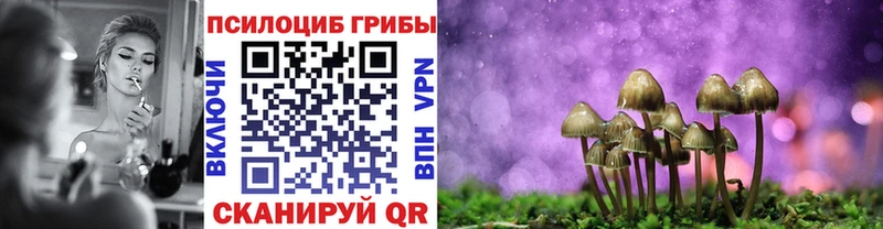 Галлюциногенные грибы мицелий Ленинск